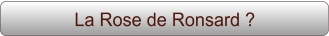La Rose de Ronsard ?