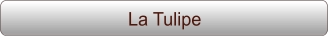 La Tulipe