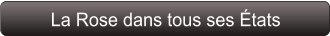 La Rose dans tous ses États