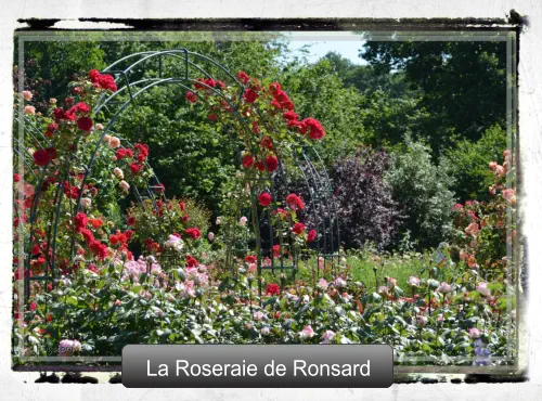 La Roseraie de Ronsard La Roseraie de Ronsard