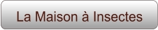 La Maison à Insectes