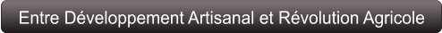 Entre Développement Artisanal et Révolution Agricole