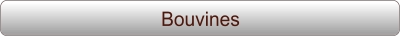 Bouvines
