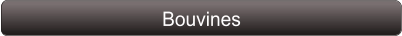Bouvines