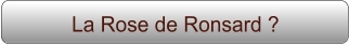 La Rose de Ronsard ?